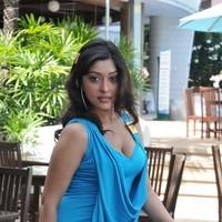 Payal Ghosh New Hot and Spicy Gallery | Picture 90608